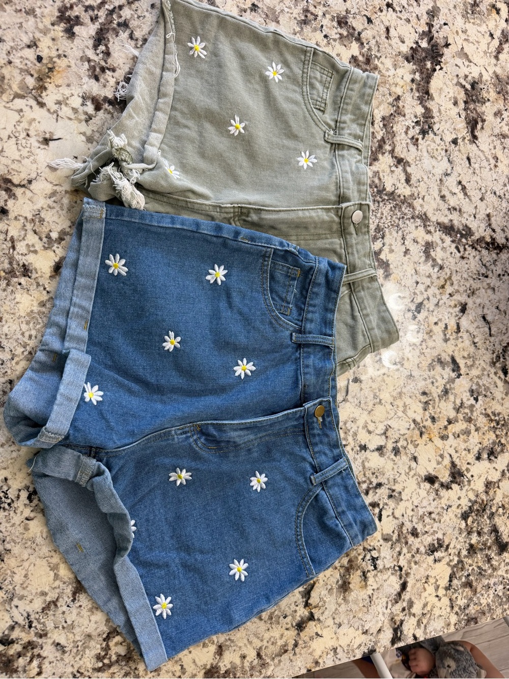 SHEIN Daisy Embroidered Blue and Olive Jean Shorts Set